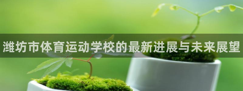 欧亿体育官方正版app集团logo：潍坊市体育运动学