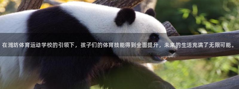 oety欧亿体育官网下载平台：在潍坊体育运动学校的引领下，孩