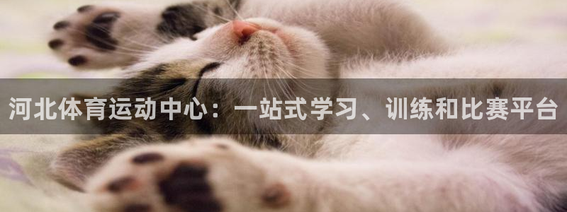 oety欧亿体育官网下载是干嘛的公司：河北体育运动中