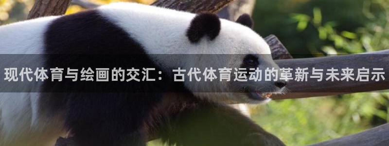 oety欧亿体育官网下载软件：现代体育与绘画的交汇：