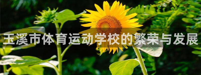 海南oety欧亿体育官网下载：玉溪市体育运动学校的繁荣与发展