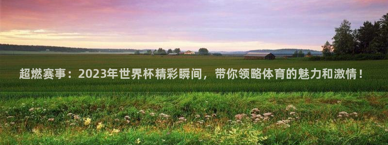 欧亿体育官方正版app娱乐平台：超燃赛事：2023年