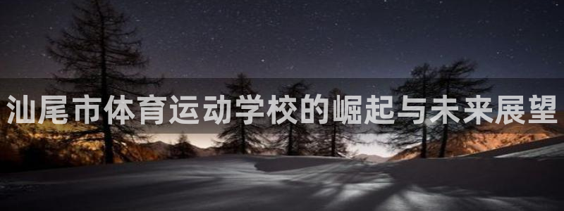 oety欧亿体育官网下载平台注册流程视频：汕尾市体育