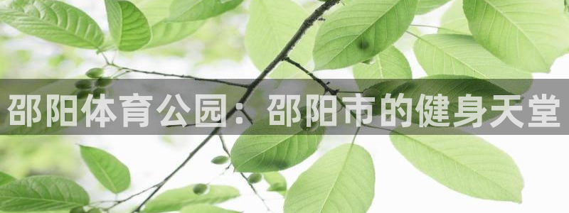 欧亿体育官方正版app集团E.ON：邵阳体育公园：邵阳市的健
