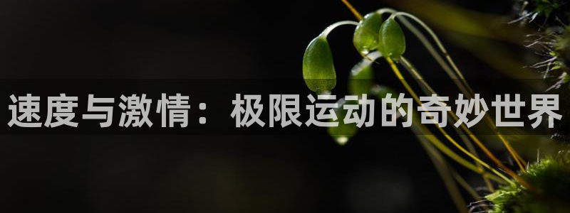 oety欧亿体育官网下载联系电话：速度与激情：极限运动的奇妙