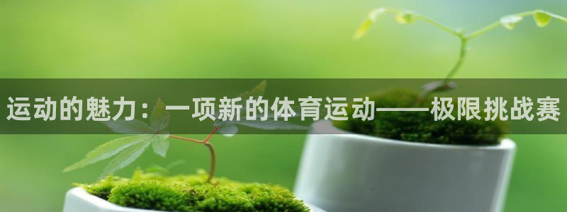 oety欧亿体育官网下载招商电话号码是多少号：运动的魅力：一