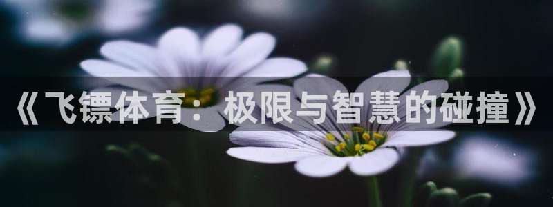 欧亿体育官方正版app娱乐下载：《飞镖体育：极限与智慧的碰撞
