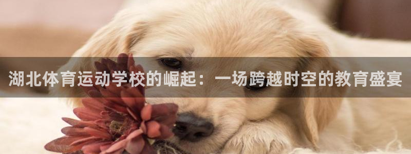 oety欧亿体育官网下载招商电话号码是多少号：湖北体育运动学