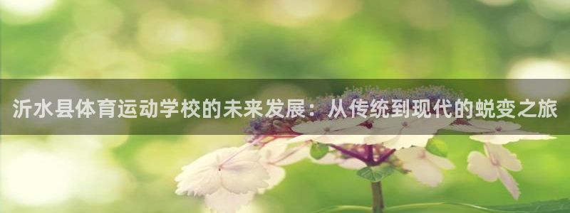 oety欧亿体育官网下载平台：沂水县体育运动学校的未来发展：