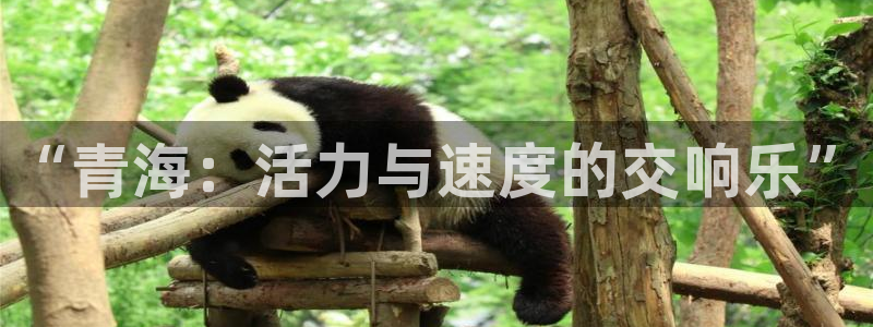 oety欧亿体育官网下载平台APP：“青海：活力与速度的交响