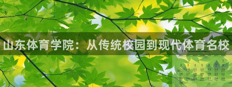 oety欧亿体育官网下载平台注册要钱吗：山东体育学院