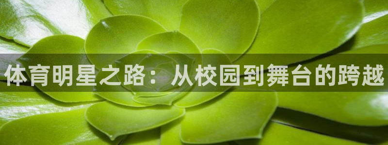 欧亿体育官方正版app娱乐40996：体育明星之路：