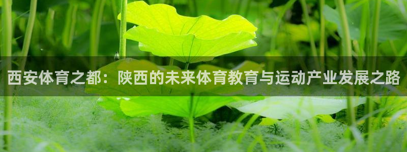 oety欧亿体育官网下载是干嘛的公司：西安体育之都：