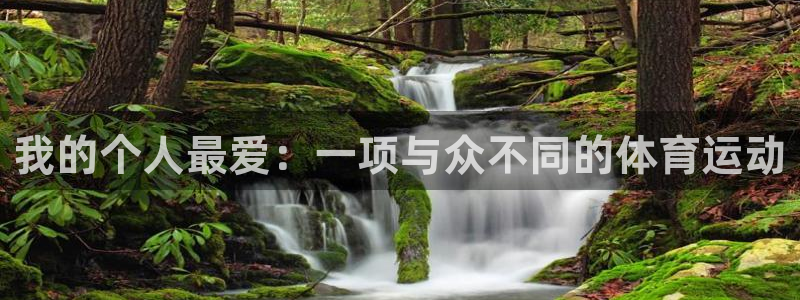 oety欧亿体育官网下载平台是正规平台吗：我的个人最