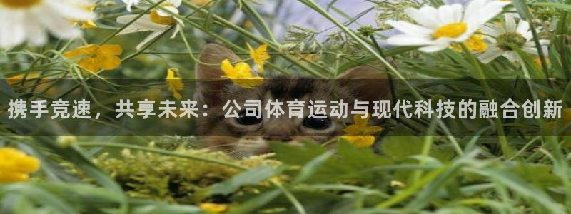 oety欧亿体育官网下载招商电话号码是多少：携手竞速，共享未