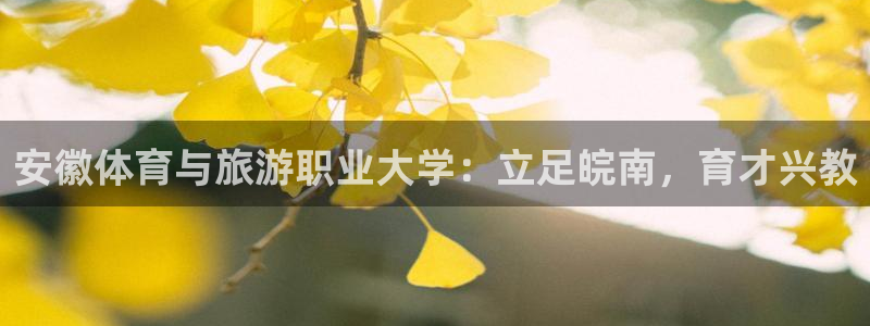oety欧亿体育官网下载平台注册：安徽体育与旅游职业大学：立