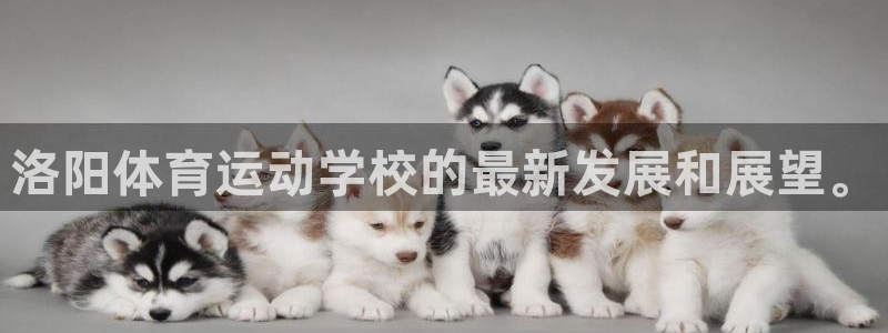 德国欧亿体育官方正版app集团：洛阳体育运动学校的最新发展和