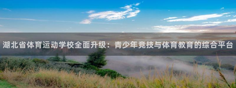 oety欧亿体育官网下载联系电话：湖北省体育运动学校