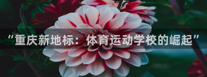 欧亿体育官方正版app娱乐：“重庆新地标：体育运动学