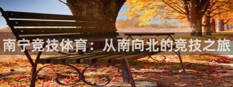 oety欧亿体育官网下载平台注册流程图：南宁竞技体育：从南向