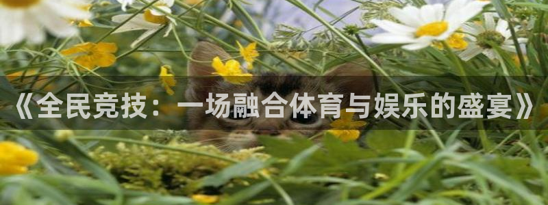 欧亿体育官方正版app娱乐首页官网下载